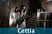 Cettia
