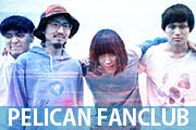 PELICAN FANCLUB