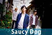 Saucy Dog