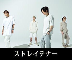 ストレイテナー