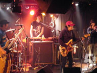 pygmy with bitter end