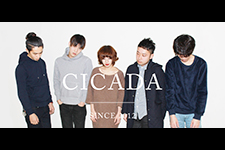 cicada