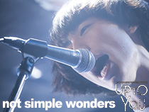 not simple wonders-1