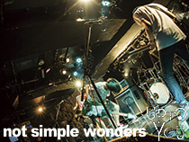 not simple wonders-3